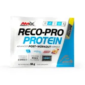 Monodosis Reco-Pro 50 gr Amix Performance