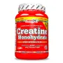 Creatina Monohidrato 500gr + 250 gr Gratis