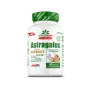Antioxidante ProVegan Astragalus Extract 90 Tabs.