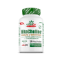 AMIX GreenDay® ProVegan Choline Bitartrate VitaCholine® 120 caps