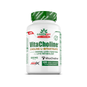 AMIX GreenDay® ProVegan Choline Bitartrate VitaCholine® 120 caps