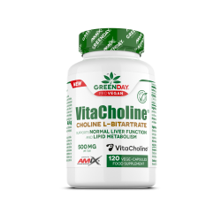 AMIX GreenDay® ProVegan Choline Bitartrate VitaCholine® 120 caps